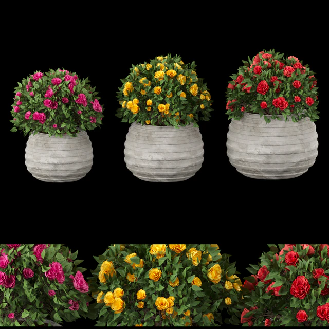 collection flowering bush vol 16 — Скачать
