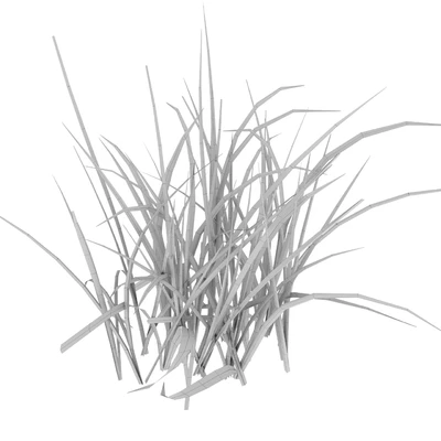 Field grass 02 — View 2