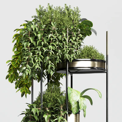 collection Indoor plant plant stairs stand metal vase 10 — Ver 3