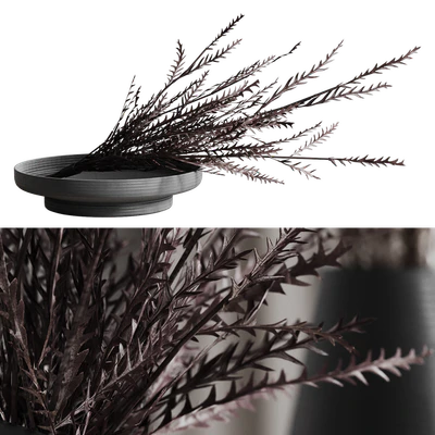 Bouquet Greville Ivanhoe — Ver 4