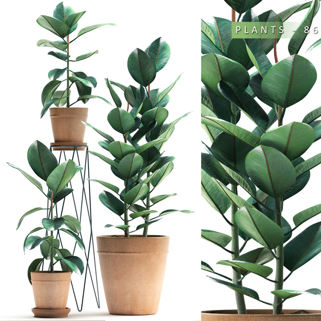 PLANTS 86 — Скачать