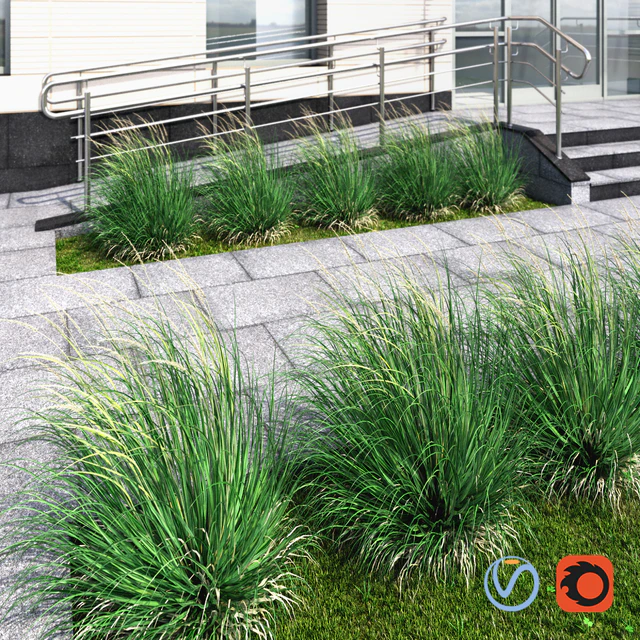 Ornamental grass windy — Скачать