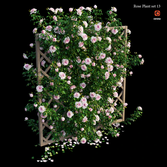 Rose plant set 13 — Скачать