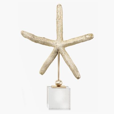 Sea shell decorative set 03 — Ver 4