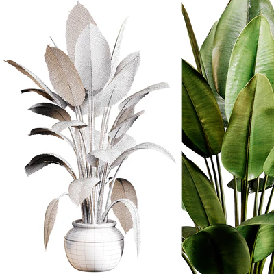 Indoor plants 96 - Plant in pot — View 3