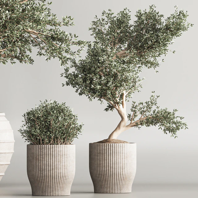 Indoor Plant Set 53 — Descargar