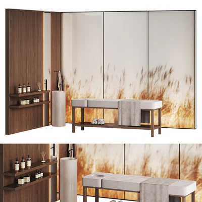 Modern minimalistic spa with wheat ears behind glass — Ver 1