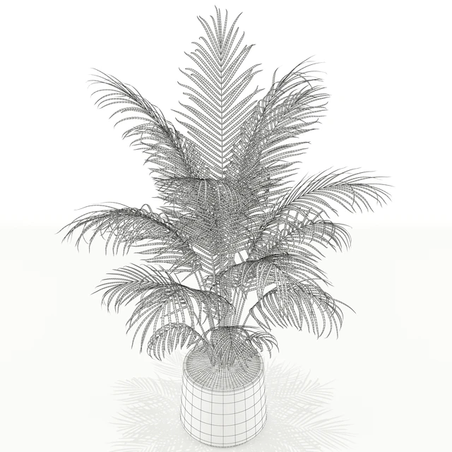 Plants collection 148 — Скачать