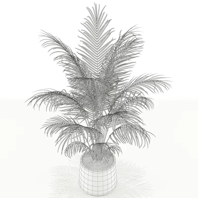 Plants collection 148 — Вид 2