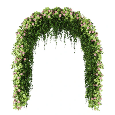 Wedding arch 02 — Вид 1