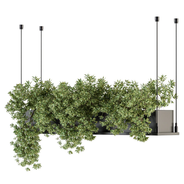 indoor Plant Set 217 - Hanging Plant  Box — Скачать