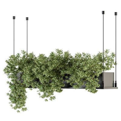 indoor Plant Set 217 - Hanging Plant  Box — Вид 3