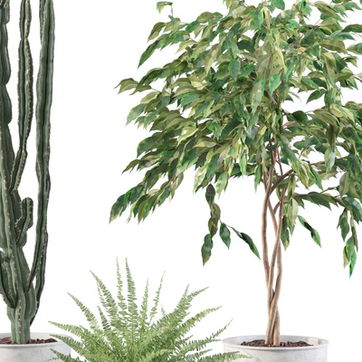 Plants collection 095 — Ver 3