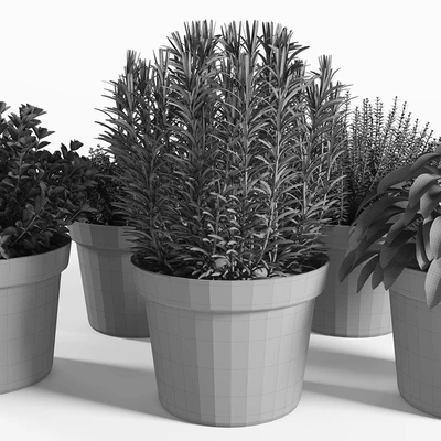 plants set 05 — Вид 2