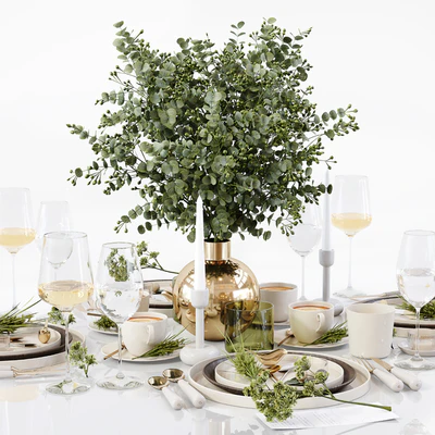 Table Setting 12 — Вид 4