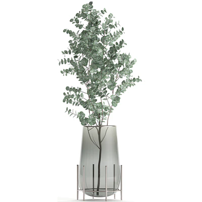 A collection of beautiful bouquets of branches with Eucalyptus leaves in a shelved vase. Set of 100. — Ver 3