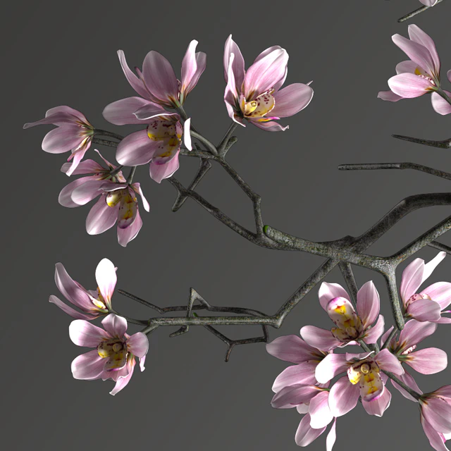 DECORATIVE SET 9 — Descargar