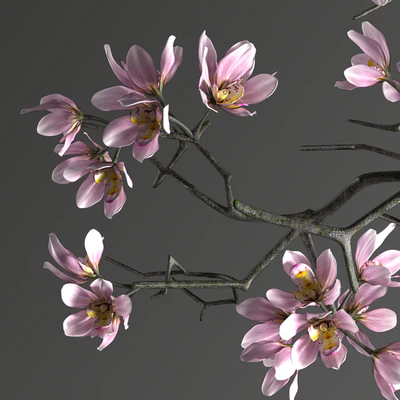 DECORATIVE SET 9 — Ver 2