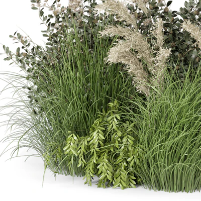 Outdoor Plants Bush-Bush Set 724 — Ver 3