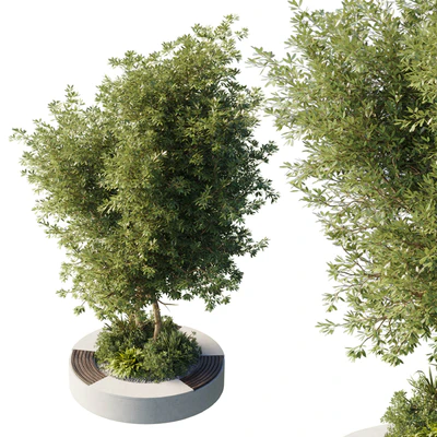 Urban Environment - Urban Furniture - Green Benches With tree 43 — Вид 1