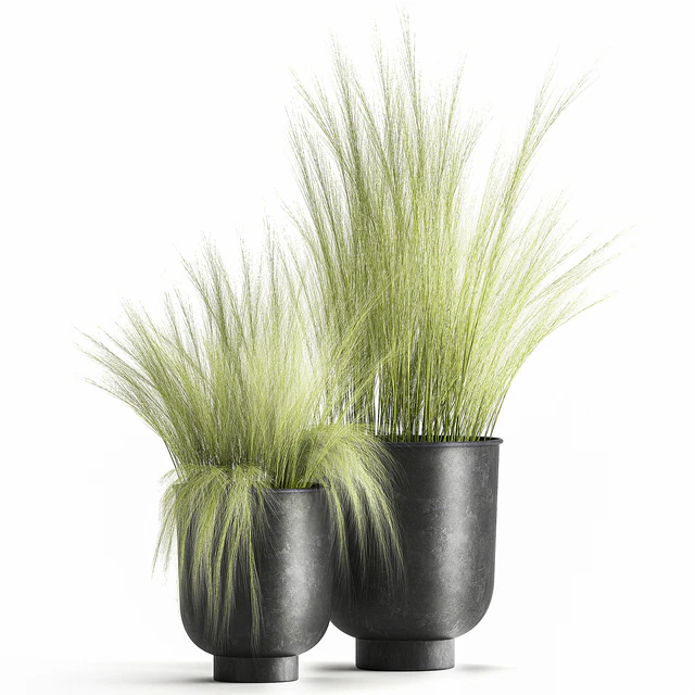 Collection of plants in black metal pots with bush grass grass. Set 1004. — Descargar