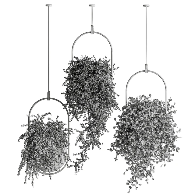 indoor Plant Set 410 - Hanging Plants — Descargar