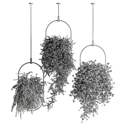 indoor Plant Set 410 - Hanging Plants — Ver 3