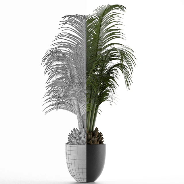House Plant 30 — Скачать
