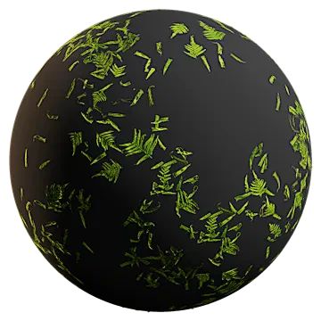 scattered buckler ferns 001 — Descargar