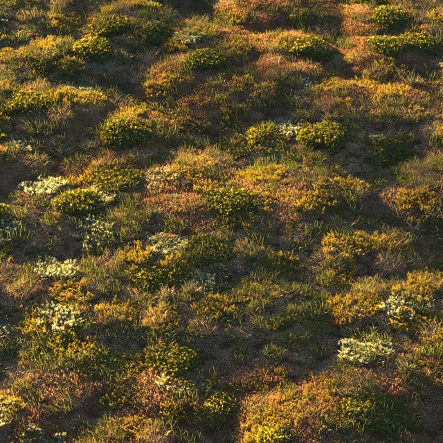 Forest grass — Скачать