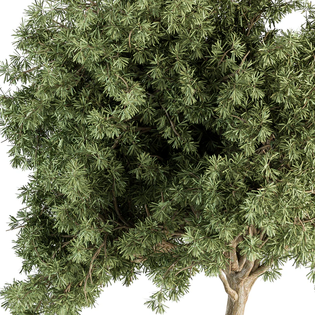 Small Tree Green Maple Needle - Set 71 — Descargar
