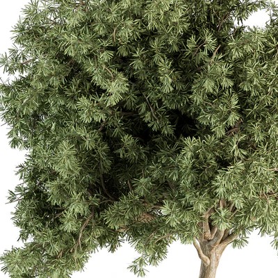 Small Tree Green Maple Needle - Set 71 — Ver 3