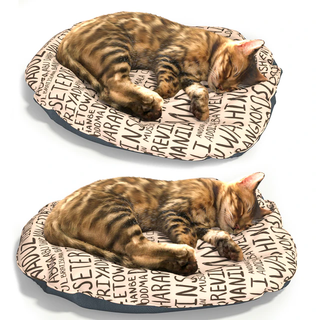 Бенгальский котёнок — Скачать