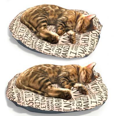 Бенгальский котёнок — Вид 3