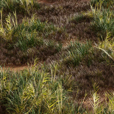 Meadow Lawn Grassland Set 003 — Ver 2