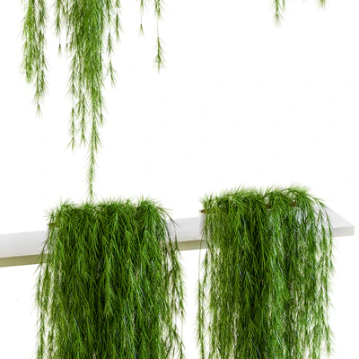 Plants for shelves. 6 items — Ver 2