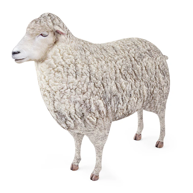 Sheep — Скачать