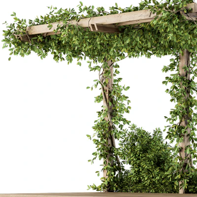 Ivy Plants on Pergola — Ver 3