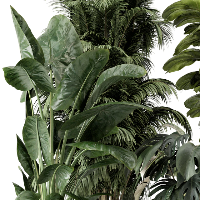 Indoor Plants in Ferm Living Bau Pot Large - Set 1361 — Descargar