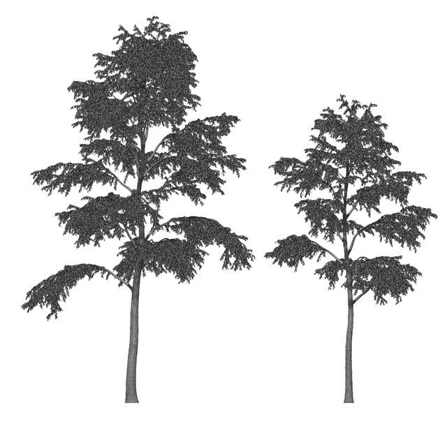 Alder 21m — Descargar