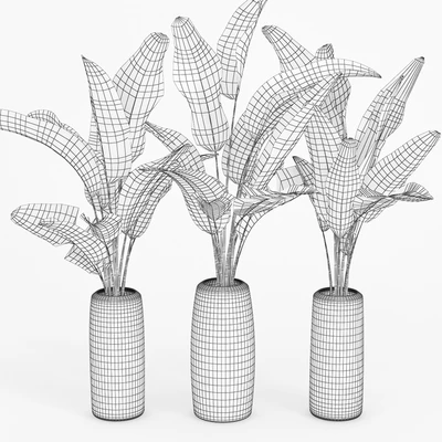 Banana Palm Striped Tall Vase — Ver 2