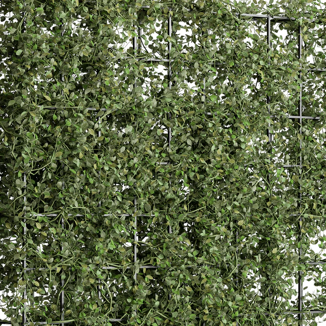 Vertical Garden Partiton - Set 81 — Download