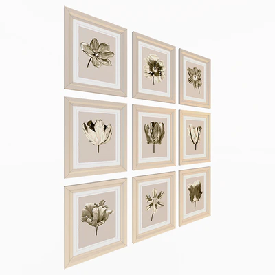 Charlotte Morgan Watercolour Tulips Sepia Nine Piece — Ver 2
