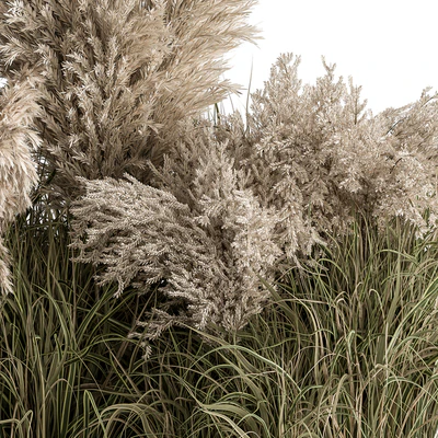 Mixed Pampas Plant Bush Set 95 — Ver 2