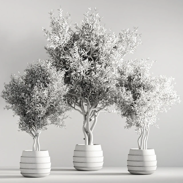 indoor plant stand 39 — Descargar