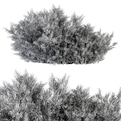 Needle Leaf Bush - Bush Set 26 — Ver 2