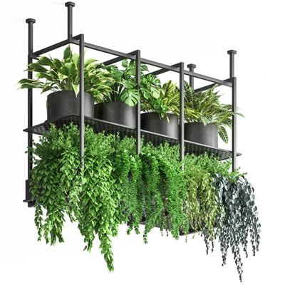 collection Indoor plants hanging pot metal 01 — Ver 1