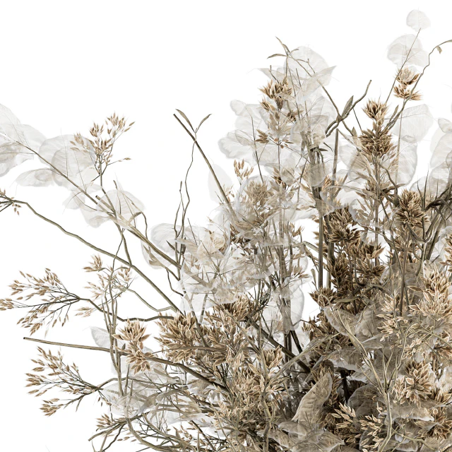 Bouquet Set 31 - Dried Plant Decoration — Скачать
