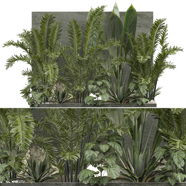 Outdoor Plant 239 — Descargar