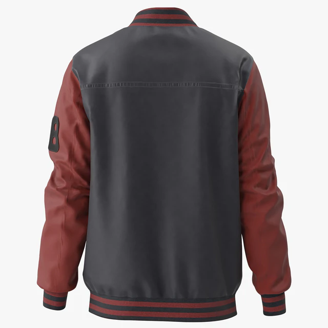 Men Embroidery Baseball Jackets — Descargar